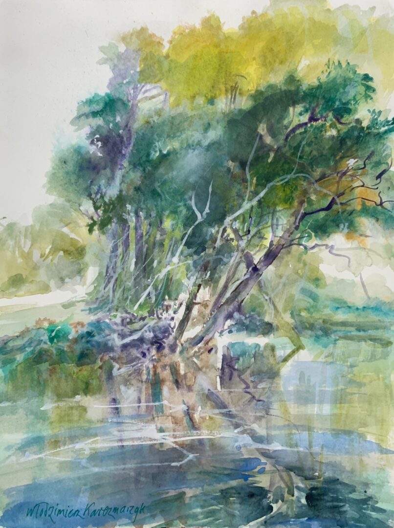 Włodzimierz Karczmarzyk Galeria Sztuki Katarzyny Napiórkowskiej (4)